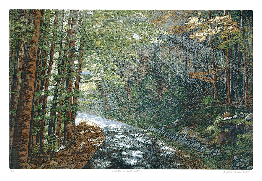 Světlo na lesní cestě